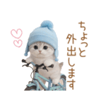スコティッシュ猫 水色帽 優しい日常 敬語（個別スタンプ：19）