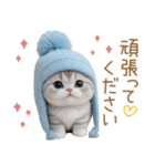 スコティッシュ猫 水色帽 優しい日常 敬語（個別スタンプ：21）