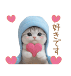 スコティッシュ猫 水色帽 優しい日常 敬語（個別スタンプ：23）