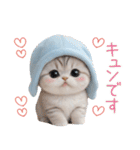 スコティッシュ猫 水色帽 優しい日常 敬語（個別スタンプ：24）