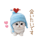 スコティッシュ猫 水色帽 優しい日常 敬語（個別スタンプ：25）