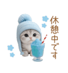 スコティッシュ猫 水色帽 優しい日常 敬語（個別スタンプ：26）