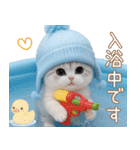 スコティッシュ猫 水色帽 優しい日常 敬語（個別スタンプ：28）