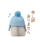 スコティッシュ猫 水色帽 優しい日常 敬語（個別スタンプ：29）