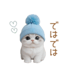 スコティッシュ猫 水色帽 優しい日常 敬語（個別スタンプ：30）
