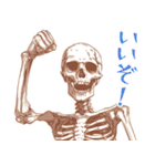 やさしいガイコツ2（個別スタンプ：26）