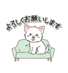 やさしいウエスティ【仕事＆連絡】（個別スタンプ：7）