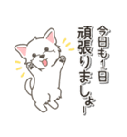 やさしいウエスティ【仕事＆連絡】（個別スタンプ：16）