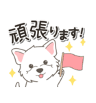 やさしいウエスティ【仕事＆連絡】（個別スタンプ：35）