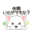 やさしいウエスティ【仕事＆連絡】（個別スタンプ：38）