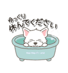 やさしいウエスティ【仕事＆連絡】（個別スタンプ：39）