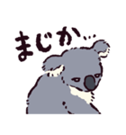 コアラです.（個別スタンプ：5）