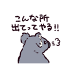 コアラです.（個別スタンプ：34）