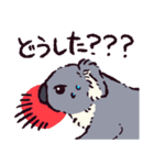 コアラです.（個別スタンプ：37）