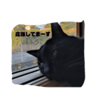 ちょこあずまるかわぇぇぇぇぇぇぇぇぇぇぇ（個別スタンプ：4）