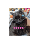 ちょこあずまるかわぇぇぇぇぇぇぇぇぇぇぇ（個別スタンプ：5）