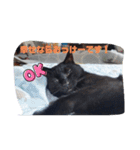 ちょこあずまるかわぇぇぇぇぇぇぇぇぇぇぇ（個別スタンプ：7）