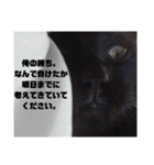 ちょこあずまるかわぇぇぇぇぇぇぇぇぇぇぇ（個別スタンプ：14）