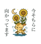 ねっ娘②【夏】……………………,………….（個別スタンプ：3）