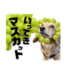 ダジャレックス！（個別スタンプ：12）