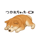 『秋田犬』のスタンプ（個別スタンプ：2）