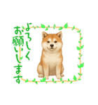 『秋田犬』のスタンプ（個別スタンプ：4）