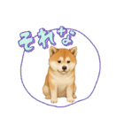 『秋田犬』のスタンプ（個別スタンプ：5）