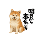 『秋田犬』のスタンプ（個別スタンプ：6）