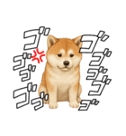『秋田犬』のスタンプ（個別スタンプ：9）