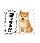 『秋田犬』のスタンプ（個別スタンプ：13）