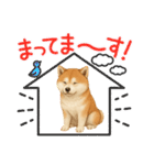 『秋田犬』のスタンプ（個別スタンプ：14）