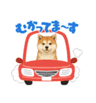 『秋田犬』のスタンプ（個別スタンプ：15）