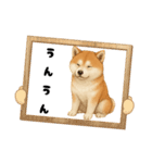 『秋田犬』のスタンプ（個別スタンプ：17）
