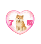 『秋田犬』のスタンプ（個別スタンプ：24）