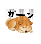 『秋田犬』のスタンプ（個別スタンプ：26）