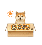 『秋田犬』のスタンプ（個別スタンプ：28）