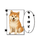 『秋田犬』のスタンプ（個別スタンプ：30）