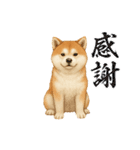 『秋田犬』のスタンプ（個別スタンプ：34）