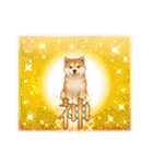 『秋田犬』のスタンプ（個別スタンプ：36）