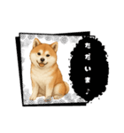 『秋田犬』のスタンプ（個別スタンプ：39）