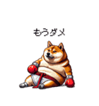 ボクサーふとっちょ柴犬（個別スタンプ：4）