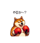 ボクサーふとっちょ柴犬（個別スタンプ：9）
