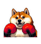 ボクサーふとっちょ柴犬（個別スタンプ：11）