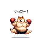 ボクサーふとっちょ柴犬（個別スタンプ：13）