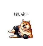 ボクサーふとっちょ柴犬（個別スタンプ：19）