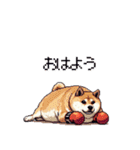 ボクサーふとっちょ柴犬（個別スタンプ：20）