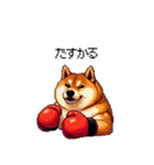 ボクサーふとっちょ柴犬（個別スタンプ：21）