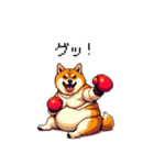 ボクサーふとっちょ柴犬（個別スタンプ：24）