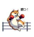 ボクサーふとっちょ柴犬（個別スタンプ：31）
