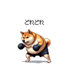 ボクサーふとっちょ柴犬（個別スタンプ：33）